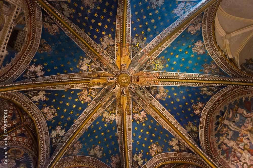 Techo Catedral de Toledo (Toledo´s cathedral ceiling )