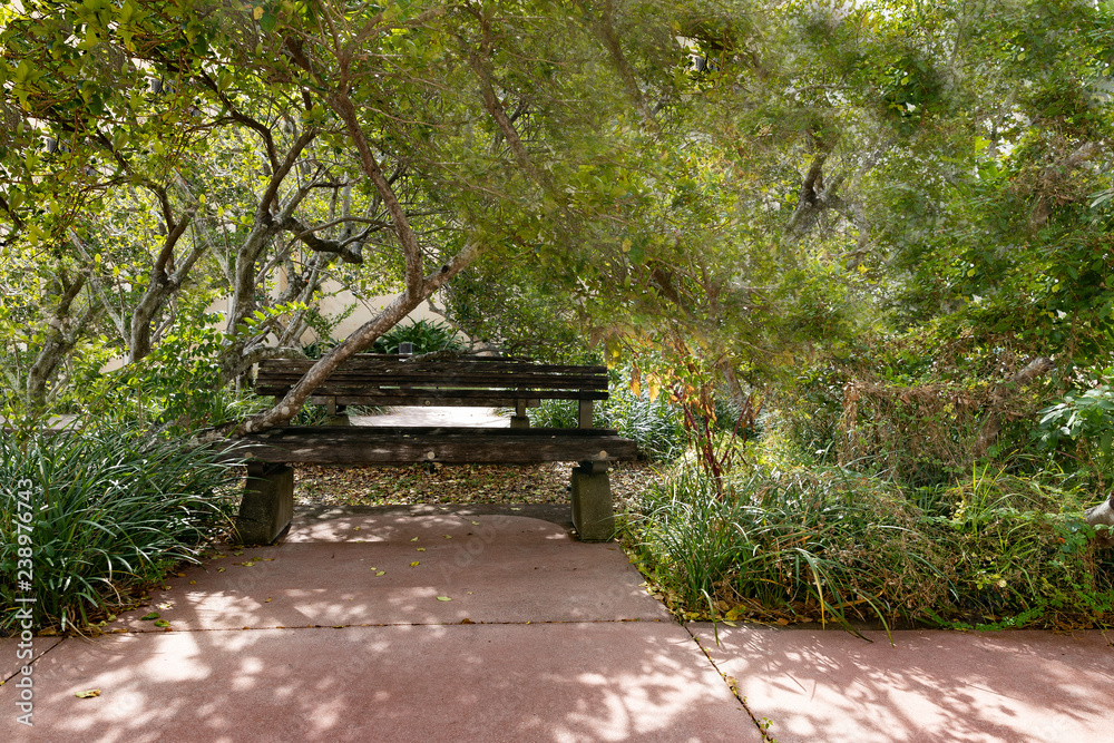 bench in the park