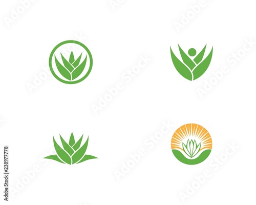 Aloe vera logo vector