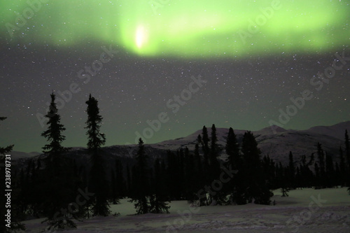 aurora/ northern light in alaska