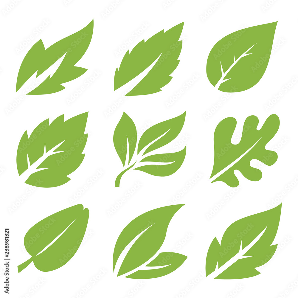 Leaves icon set. leaves logo design and  natural style symbol vector.