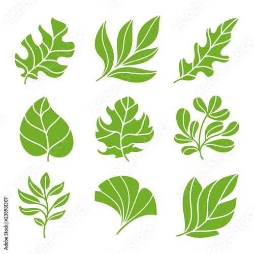 Leaves icon set. leaves logo design and  natural style symbol vector.