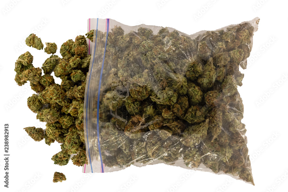 Looking down at an overflowing zipper bag full of marijuana spilling out the open top.