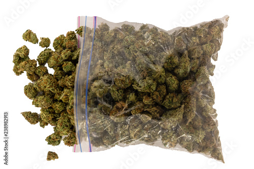 Looking down at an overflowing zipper bag full of marijuana spilling out the open top. photo