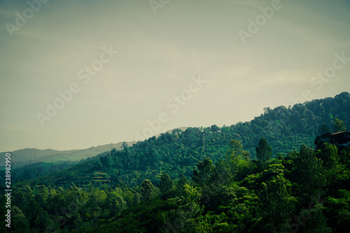 green forest mountain with cloudy sky and fog in tropical area © maslakhatul