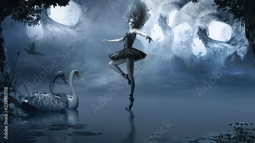 Dancer and swans photo