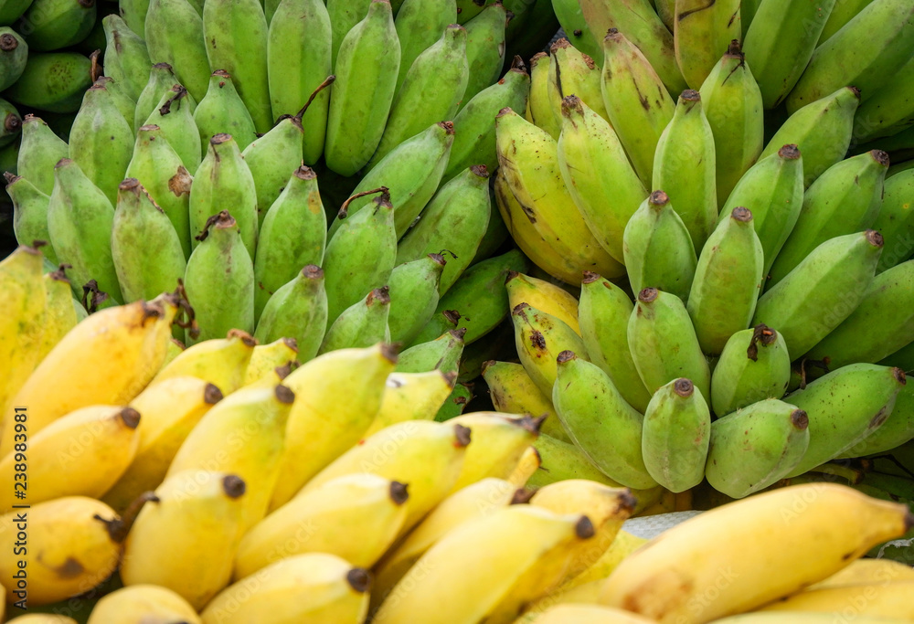 fresh banana texture background cultivated banana harvest from garden organic fruit
