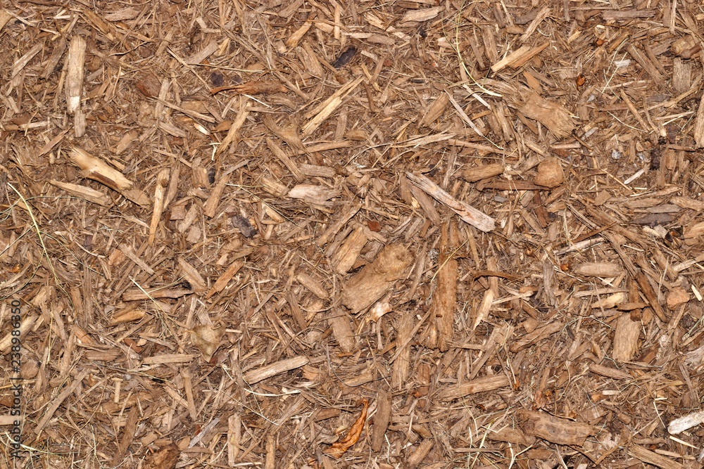 Wood chip mulch scattered thickly in a landscaped garden area. Wood chip mulch scattered thickly in a landscaped garden area.