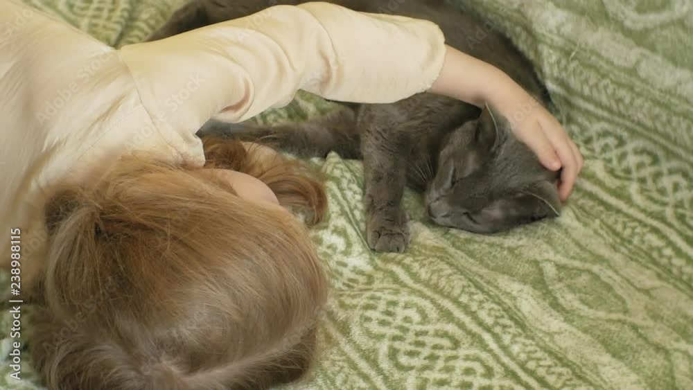 happy girl child with blond hair and pigtails lying on the sofa stroking a gray cat happy girl child with blond hair and pigtails lying on the sofa stroking a gray cat