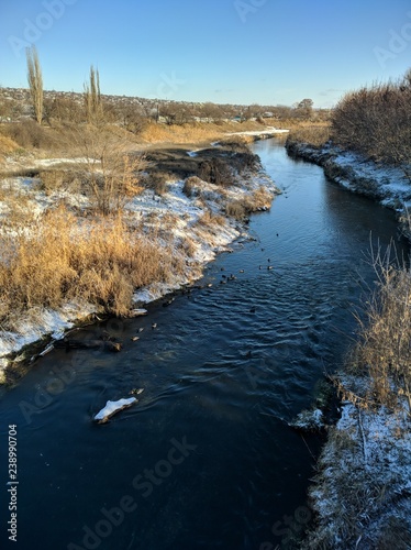 ducks on river