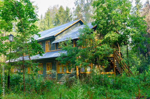 Wooden cottage in the beautiful dense wild forest