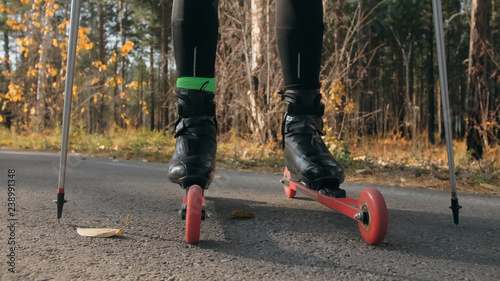 Training an athlete on the roller skaters. Biathlon ride on the roller skis with ski poles, in the helmet. Autumn workout. Roller sport. Adult man riding on skates. Athlete is getting ready to start. photo