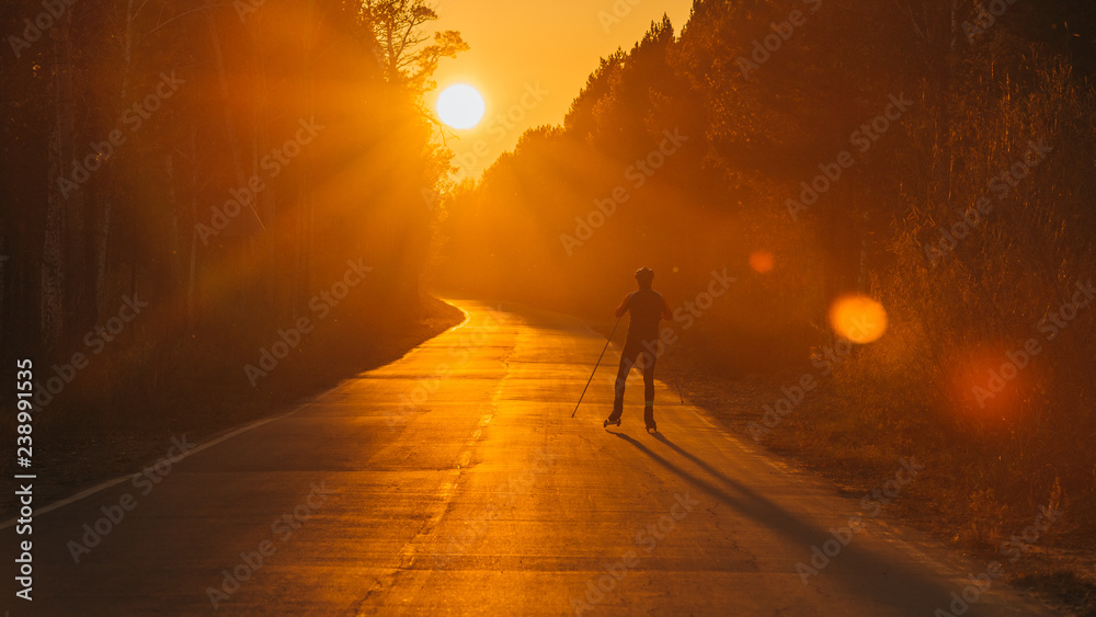 Training an athlete on the roller skaters. Biathlon ride on the roller skis with ski poles, in the helmet. Beautiful sunset silhouette. Autumn workout. Roller sport. Adult man riding on skates.