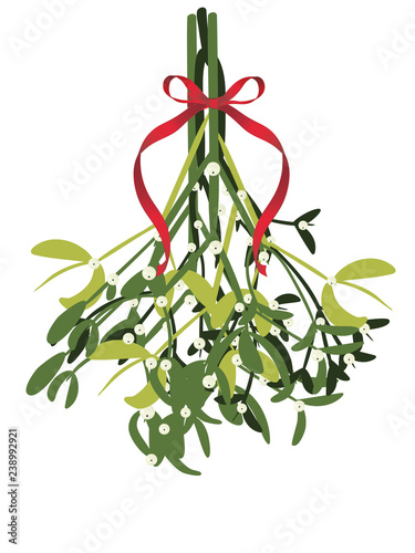 Branch of mistletoe