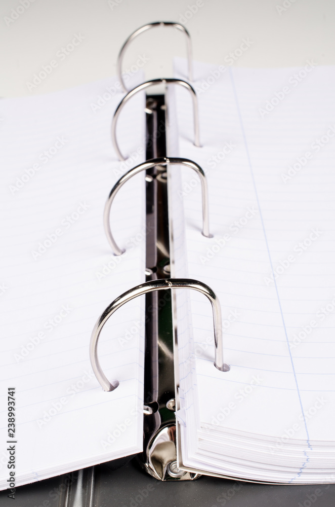 custom made wallpaper toronto digitalTraditional ringed notebook