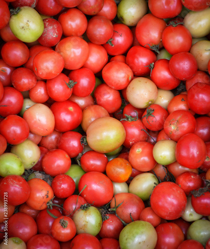 red tomato vines texture background - pile of ripe tomato vines sale in the market