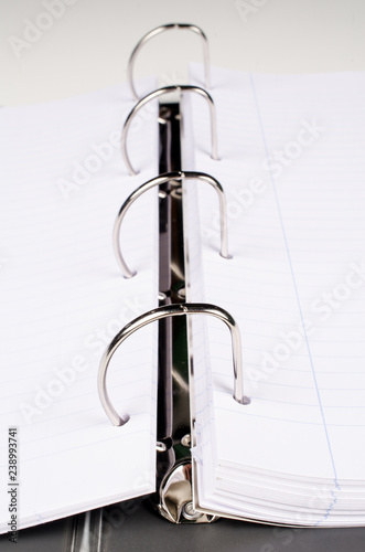 Wallpaper Mural Traditional ringed notebook Torontodigital.ca