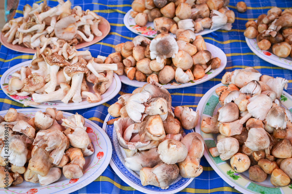 Fototapeta premium straw mushroom on plate sale in the market - fresh straw mushroom from the mushroom farm in thailand