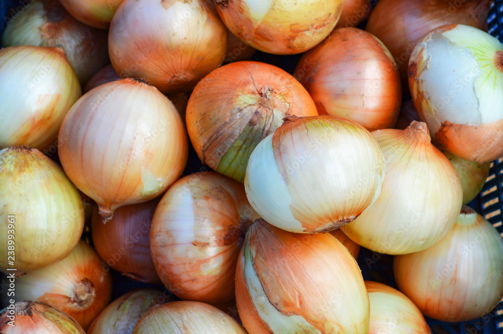 fresh onions texture background / ripe onions for sale in market fresh onions texture background / ripe onions for sale in market