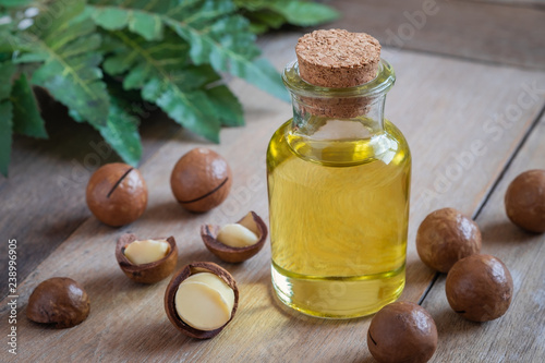 Macadamia oil in bottle and macadamia nuts on wooden table.