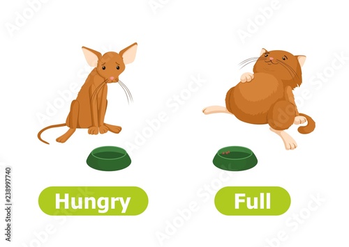 Vector antonyms and opposites. Cartoon characters illustration on white background. Card for children can be used as a teaching aid for a foreign language learning. Hungry and Full.