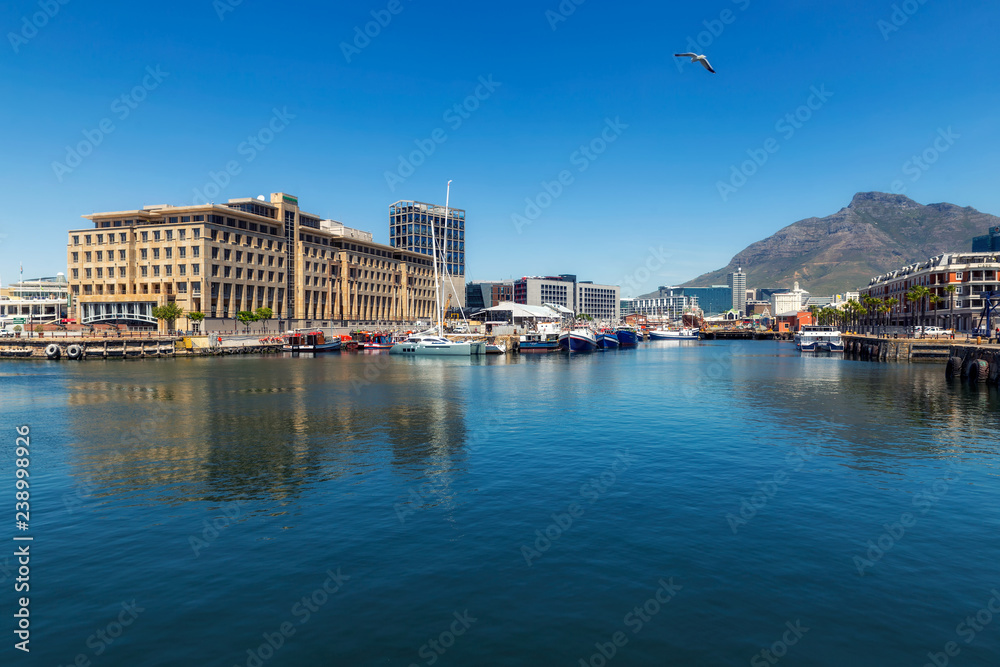 Cape Town harbour view with yachts and boats and a seagull flying
