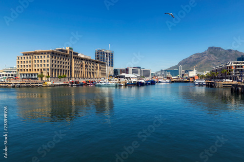 Fototapeta Naklejka Na Ścianę i Meble -  Cape Town harbour view with yachts and boats and a seagull flying