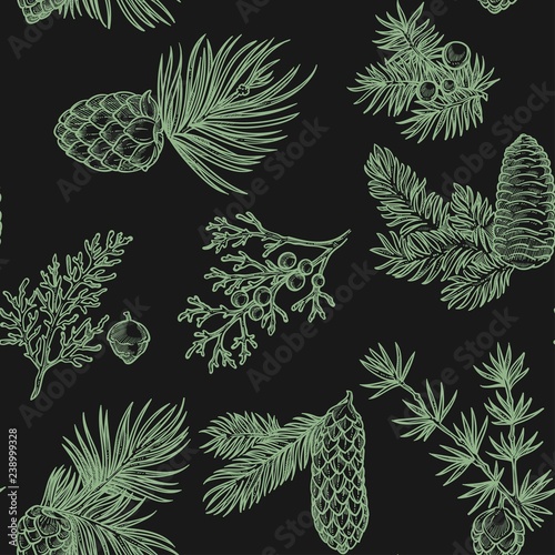 Pine branches of trees and cones seamless pattern isolated on white background vector.