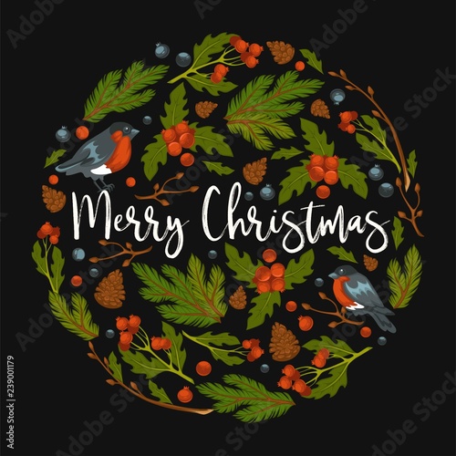 Merry Christmas, bullfinches and mistletoe leaves in circle shape vector.