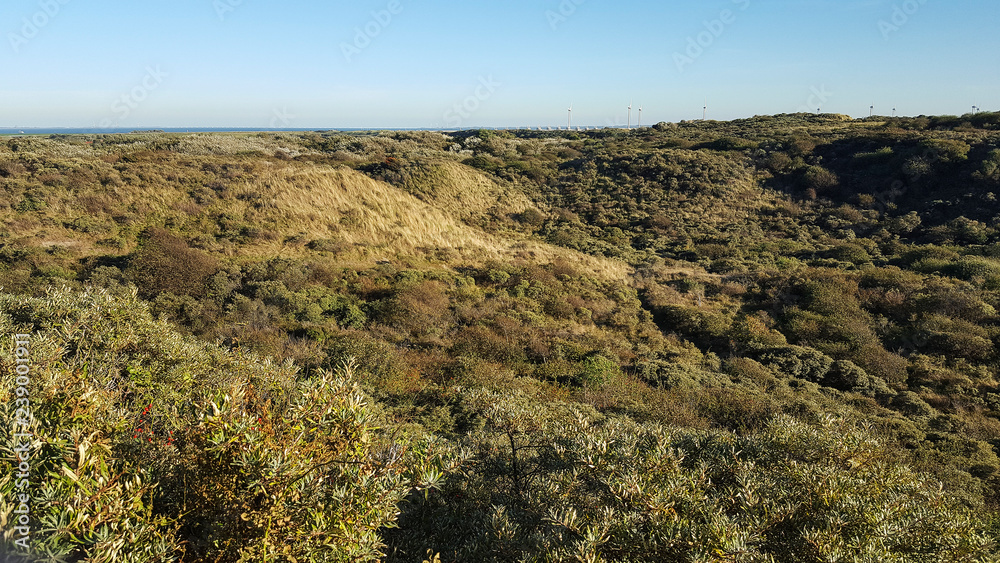 Sand dune covered with grass and bushes; Zeeland, Netherlands Sand dune covered with grass and bushes; Zeeland, Netherlands