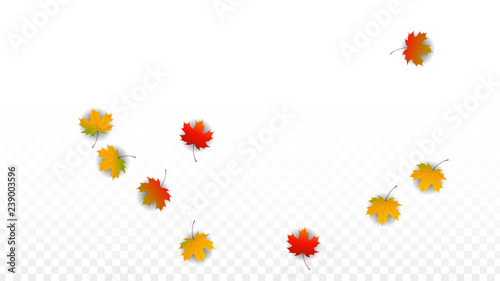 September Vector Background with Golden Falling Leaves. Autumn Illustration with Maple Red, Orange, Yellow Foliage. Isolated Leaf on Transparent Background. Bright Swirl. Suitable for Posters.