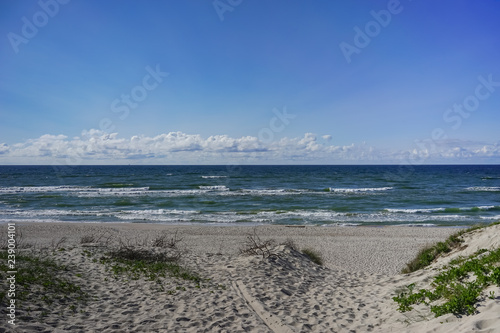 Fototapeta Naklejka Na Ścianę i Meble -  Sea landscape of the Baltic sea with coastal sand dunes of the Curonian spit.