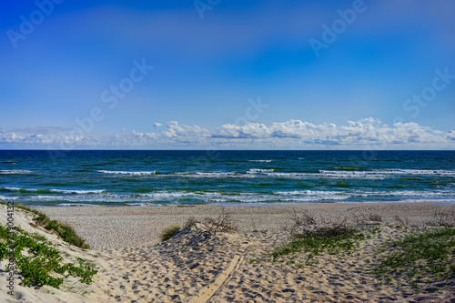 Sea landscape of the Baltic sea with coastal sand dunes of the Curonian spit.