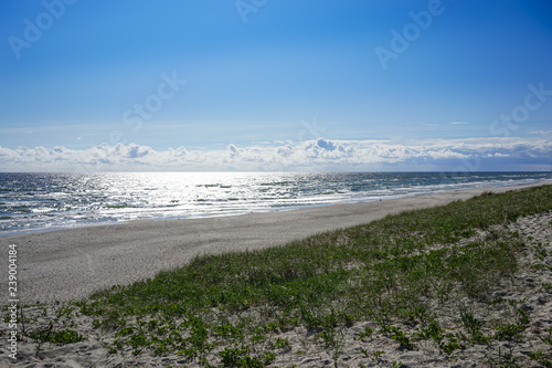 Fototapeta Naklejka Na Ścianę i Meble -  Sea landscape of the Baltic sea with coastal sand dunes of the Curonian spit.