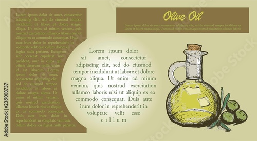 Olive oil and text for flyer design. 