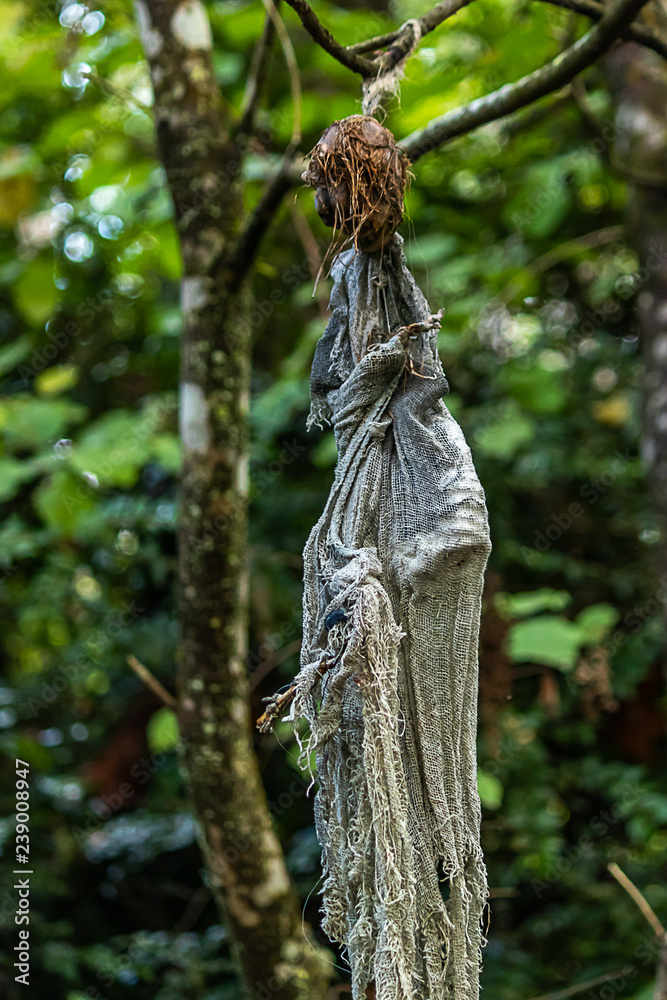 cloth halloween decoration hanging in the forest cloth halloween decoration hanging in the forest
