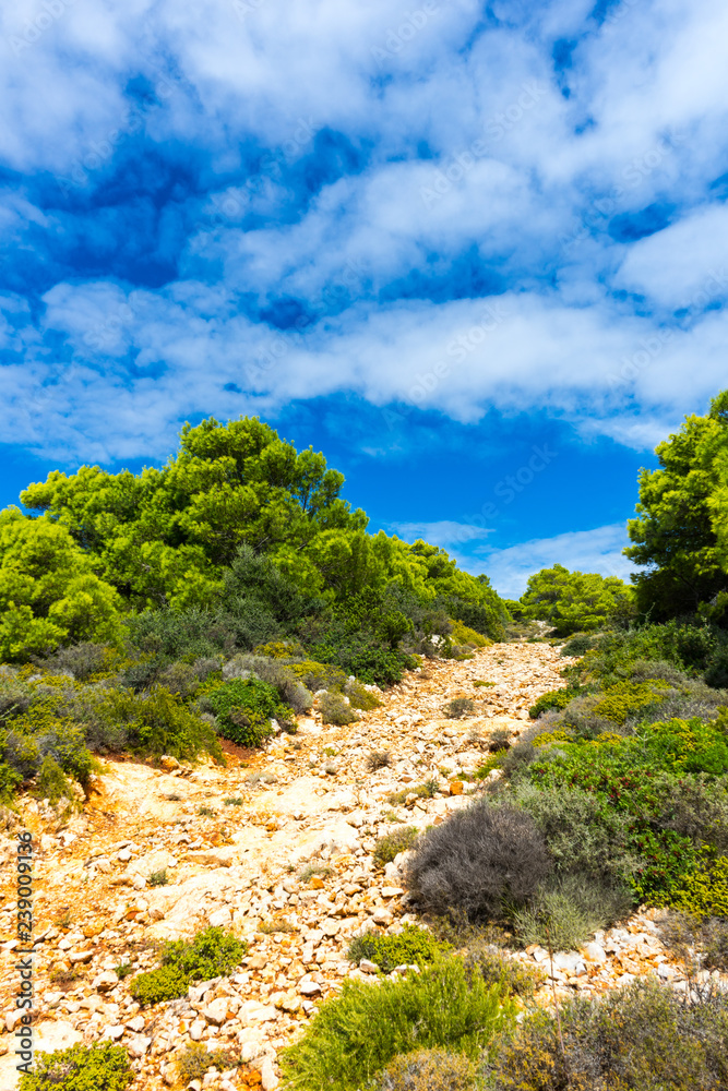 Greece, Zakynthos, Hiking trail between green pine trees and stones