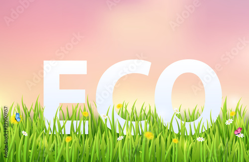 Eco inscription on a green meadow.
