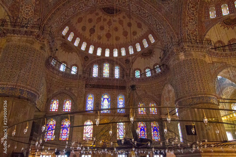Obraz premium Istanbul, Palazzi e Moschee