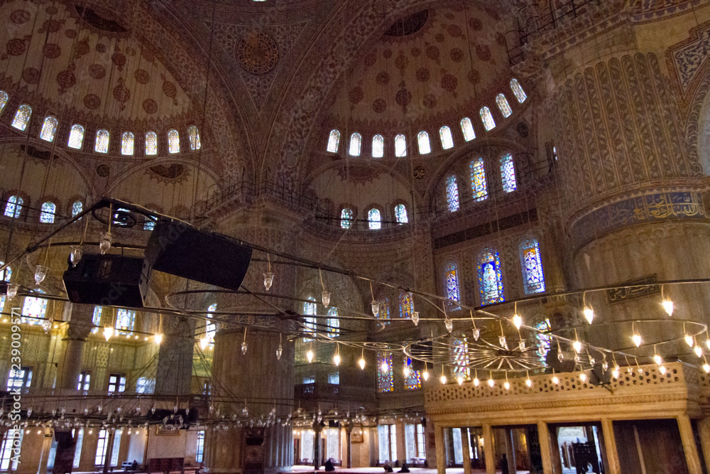 Obraz premium Istanbul, Palazzi e Moschee