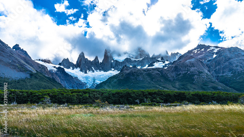 Fitz Roy at Campamento Poincenot in El Chalten(Argentina)
