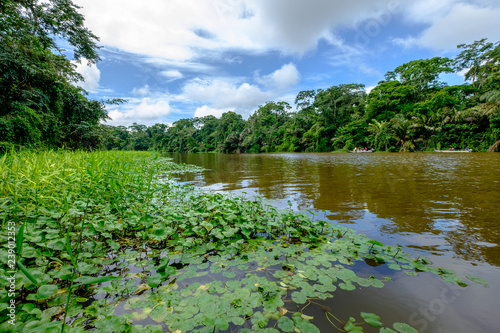 Canal tortuguero