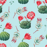 Hand drawn decorative seamless pattern with cacti and succulents