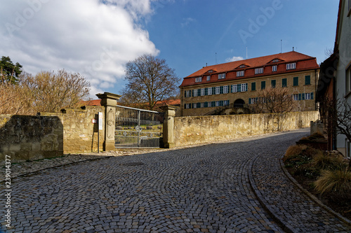 Fürstliches Schloss und Schlosspark in Castell, Landkreis Kitzingen, Unterfranken, Franken,  Bayern, Deutschland