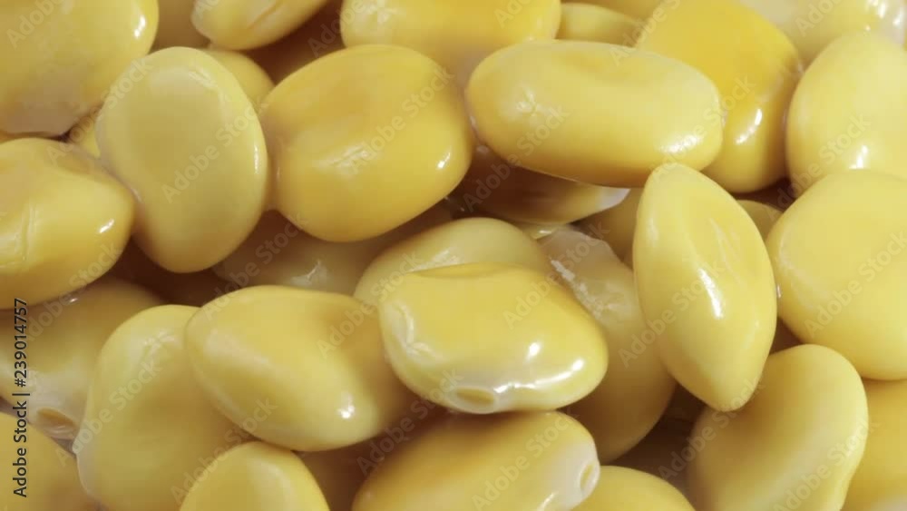 Lupinus albus beans, cooked and pickled in brine, with white background Lupinus albus beans, cooked and pickled in brine, with white background