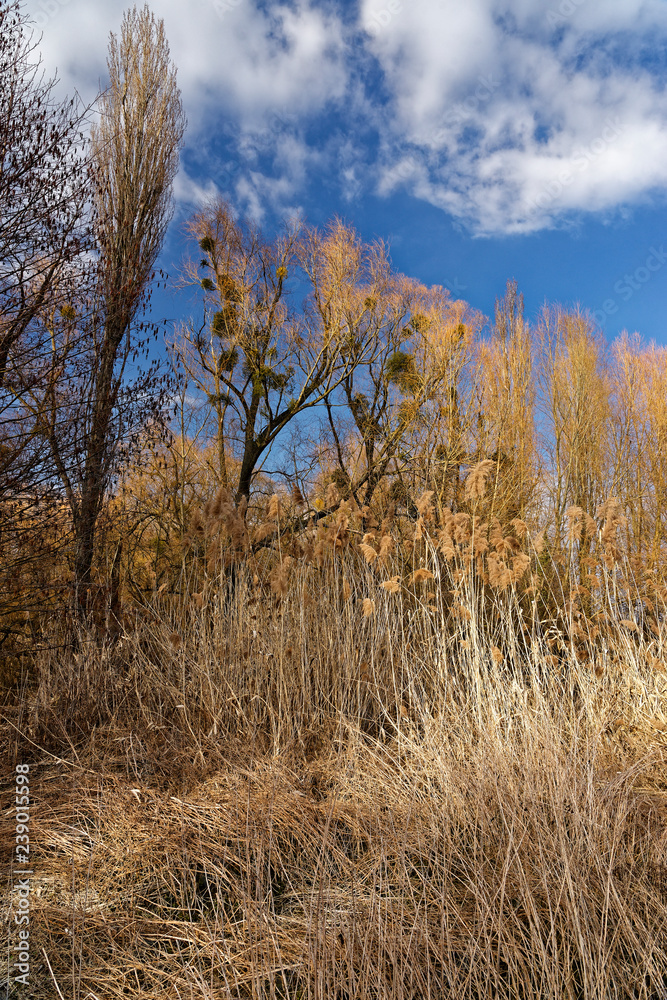 Landschaft und Weinberge bei Castell, Landkreis Kitzingen, Unterfranken, Franken,  Bayern, Deutschland