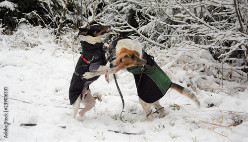 Nature Soul Impression