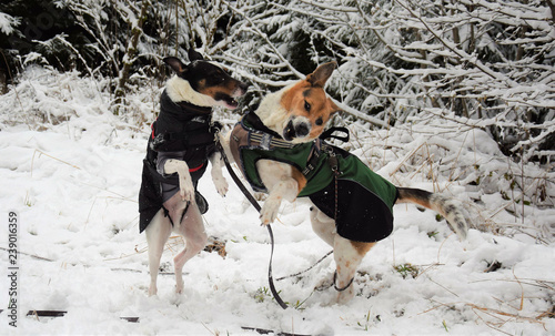 Nature Soul Impression