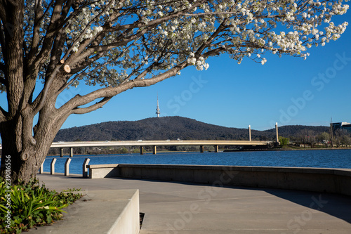 A view of the banks of Lake Burley Griffin, Canberra. photo