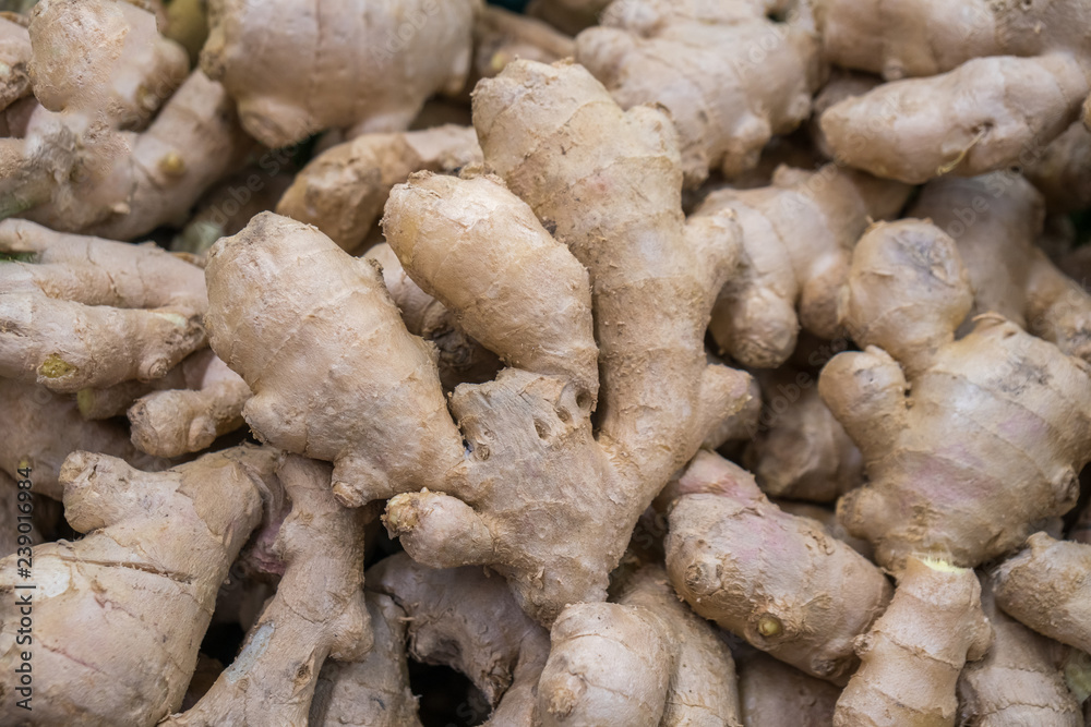 Fresh organic ginger on fresh market, healty food Fresh organic ginger on fresh market, healty food